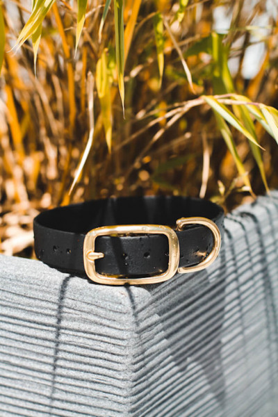 blaues Halsband